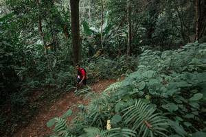 BIB: 
                            <button type="button" onclick="openModal(22795670)" class="btn btn-primary btn-sm float-right btn-popup" data-toggle="modal" data-target=".modal-high-quality">
                        <i class="fas fa-shopping-cart"></i> Add to Cart
                    </button>
                                            <button type="button" onclick="isThisMe(22795670, true)" class="btn btn-success btn-sm float-right btn-popup btn-isme hidden" data-toggle="tooltip" data-placement="bottom" title="นี่คือรูปของคุณใช่ไหม คลิกที่นี่เพื่อเอาเข้าอัลบั้ม">
                        <i class="fas fa-plus"></i> Add to album
                    </button>
                    <button type="button" onclick="isThisMe(22795670, false)" class="btn btn-warning btn-sm float-right btn-popup btn-isnotme hidden">
                        <i class="fas fa-ban"></i> Remove from album
                    </button>